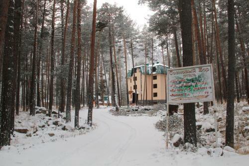 Posada Sosnovy Bor Inn