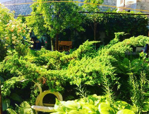 Hostal Guesthouse Novosolov