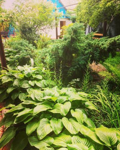 Hostal Guesthouse Novosolov