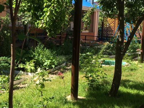 Hostal Guesthouse Novosolov