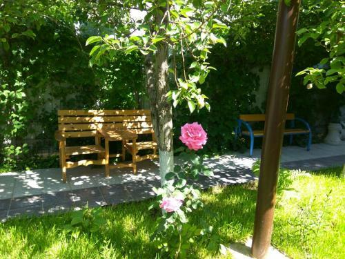 Hostal Guesthouse Novosolov