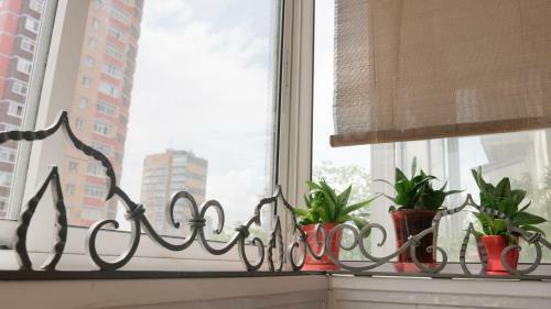 Apartaments On Kalinina