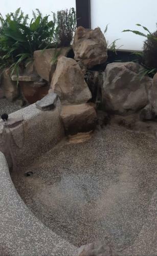 Bed & Breakfast Japonesque Garden Suite
