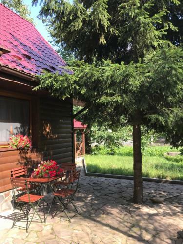 Hotel Troyanda Karpat