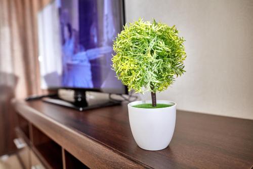 City Center Apartment
