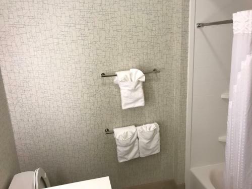 Hotel Holiday Inn Express & Suites - Pittsburgh - Monroeville