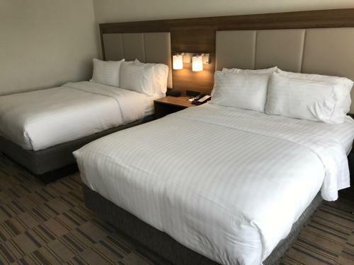 Hotel Holiday Inn Express & Suites - Pittsburgh - Monroeville