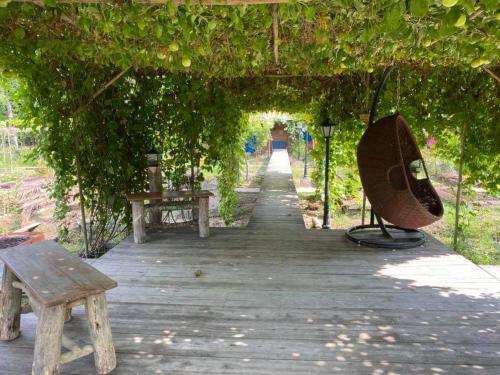 Bed & Breakfast Coco Land Homestay
