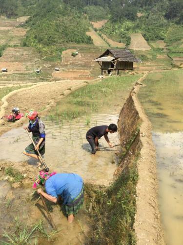 Do Gu Homestay
