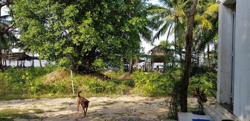 Hostal Luna Beach