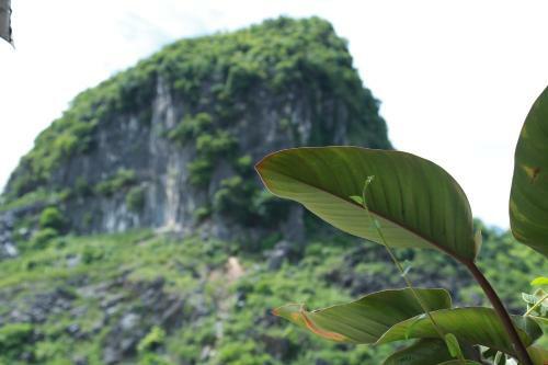 Hotel Thanh Phat Phong Nha