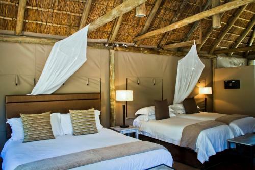 Lodge Entabeni Safari Conservancy