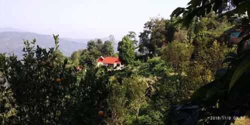 Vamoosetrail Orange Valley-sittong
