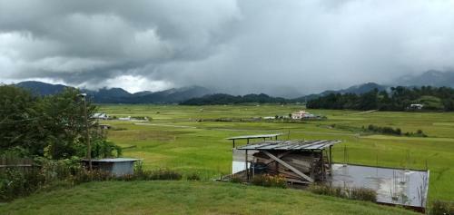 Vamoosetrail Ziro