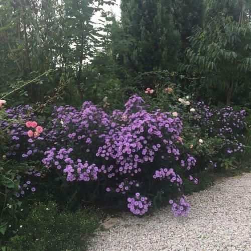 Lodge Calvenere