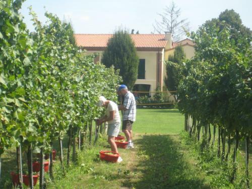 Agroturismo Agriturismo L'albara