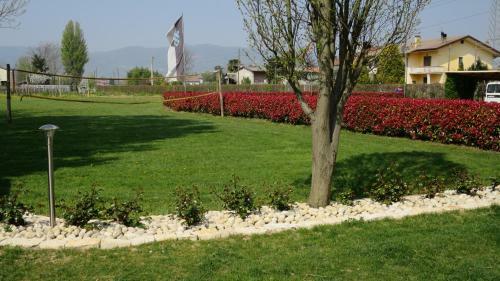 Agroturismo Agriturismo L'albara