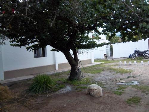 Hostal Nuestro Destino Bar & Hostel