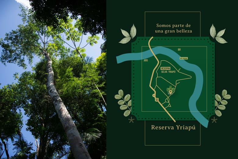 Yvy Hotel De Selva