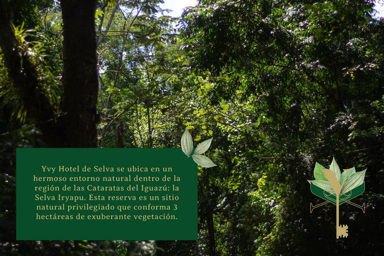 Yvy Hotel De Selva