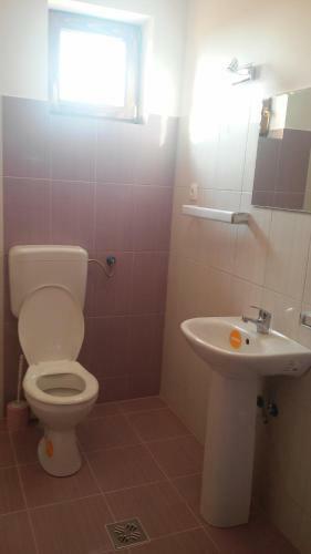 Hostal Pensiunea Laleaua Pestrita