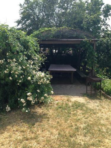 Hostal Vinogradnaya Loza