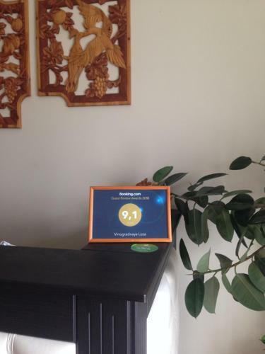 Hostal Vinogradnaya Loza
