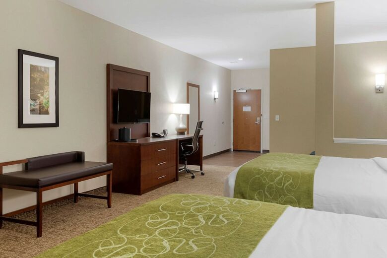 Hotel Comfort Suites Greenville South