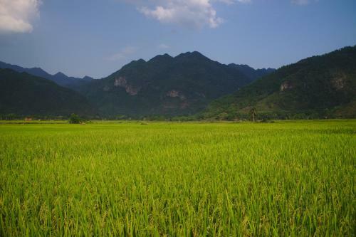Mai Chau Family Homestay