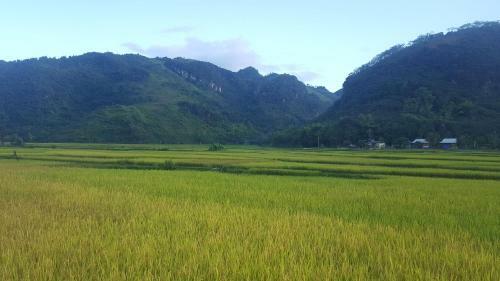 Mai Chau Family Homestay