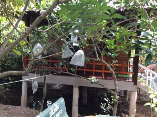 Quoc Phuong Riverside Homestay