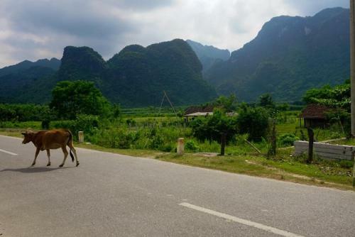 Phong Nha-tuan Garden House