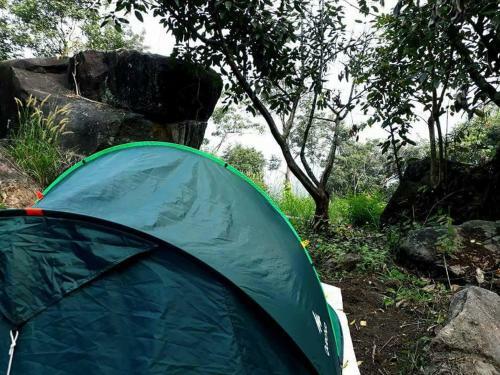 Evergreen Tent Stay & Trekking