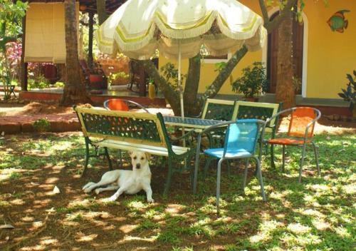 Villa Casa De Xanti By Vista Rooms