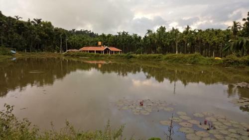 Haveli Holiday Home