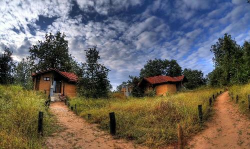Hotel Kanha Earth Lodge