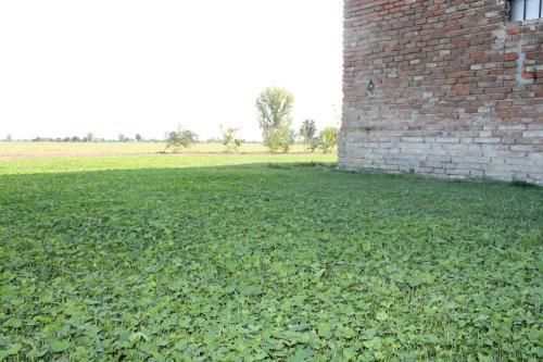 Hostal Antico Casale Caroli