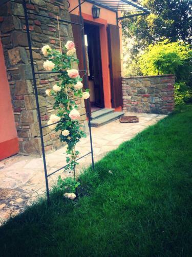 Tartagli Luxury Villa With Pool - A Fontanaro Property