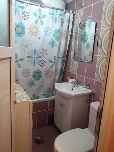 Hostal Vila Vasojevi?