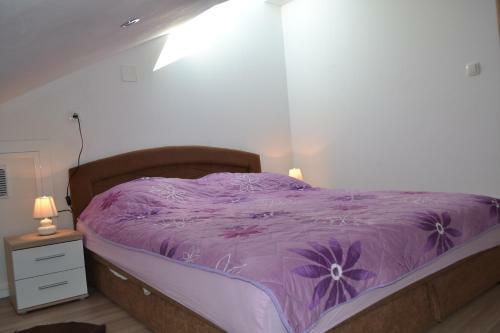 Apartment Branko