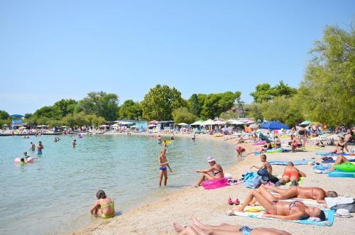 Apartments Ivica