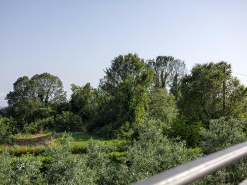 Apartment Gavri�