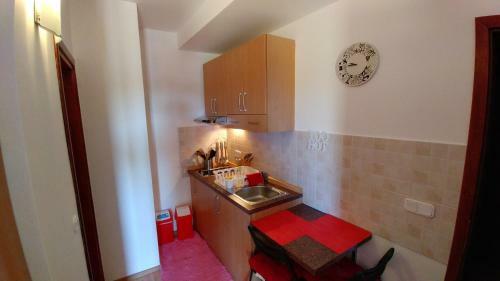 Apartments Ribaric