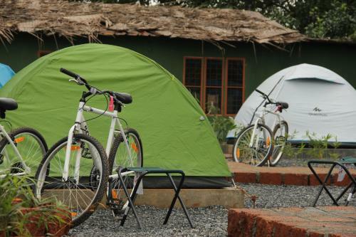 Hotel Jungle Edge Resort By Nectar Experience