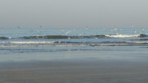 Hotel Whistling Waves Beach Resort