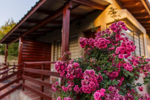 Lodge Apart Caba�as Las Catalpas
