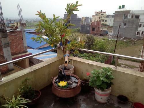 Everest Home Stay Apartment