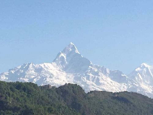 Bed & Breakfast Hotel Trekkers Lodge