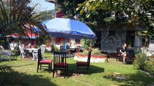 Bed & Breakfast Hotel Trekkers Lodge