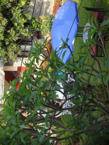 Bed & Breakfast Hotel Trekkers Lodge